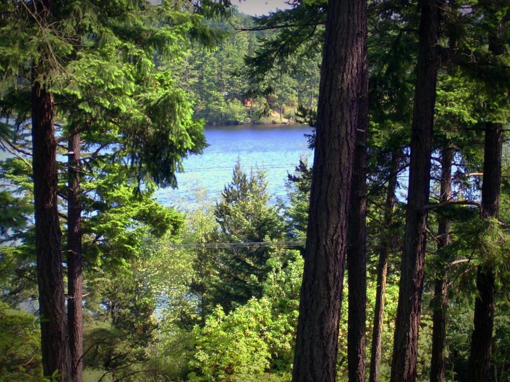 Inn To The Woods Friday Harbor Exterior foto